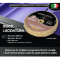 DISQUE "Z" PUR SISAL "ULTRA DUR" DIAMÈTRE 100 MM
