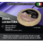 DISQUE "Z" PUR SISAL "ULTRA DUR" DIAMÈTRE 150 MM