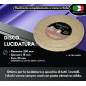 DISQUE "Z" PUR SISAL "ULTRA DUR" DIAMÈTRE 250 MM DISQUE "Z" PUR SISAL "ULTRA DUR" DIAMÈTRE 250 MM