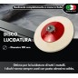Kit Lucidatura Pasta Abrasiva B Fine + Feltro M14