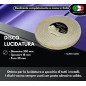 Sisal Cotton Polishing Wheel Super Hard 300mm Bore 30 Sisal Cotton Polishing Wheel Super Hard 300mm Bore 30